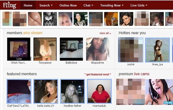 fling.com review