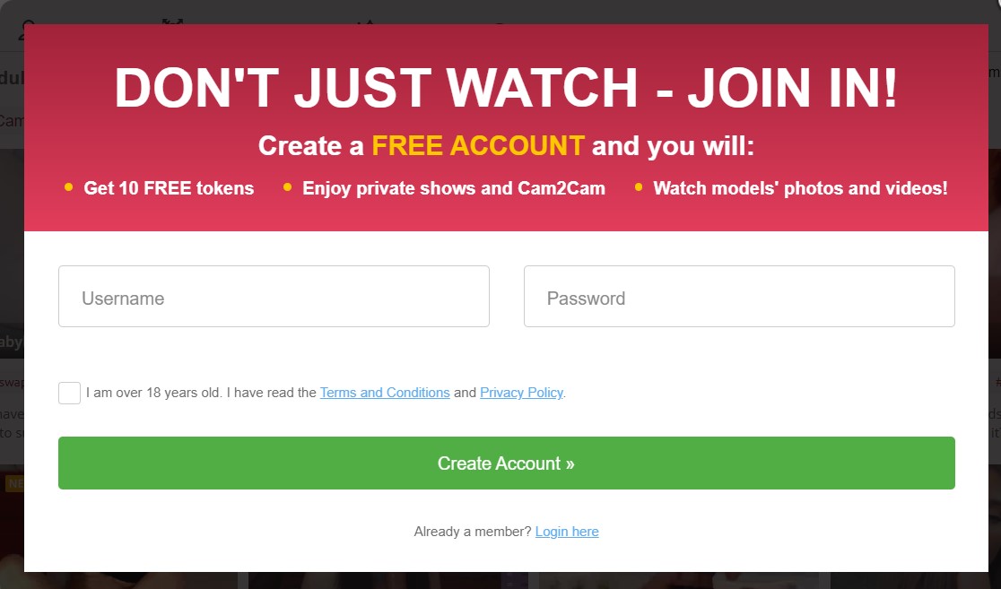 bongacams review